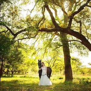 Gorgeous Alfred Angelo Wedding Dress